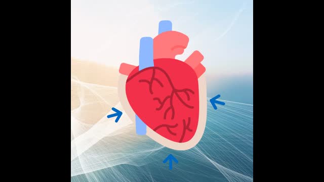 drugs used to treat pericarditis - source update - audio assist