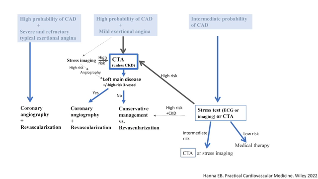 Stable CAD: Revascularization concepts + Diagnostic strategy- Elias Hanna